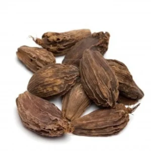 Black Cardamom Kalo Elachi