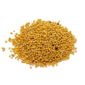 Yellow White Mustard Seed